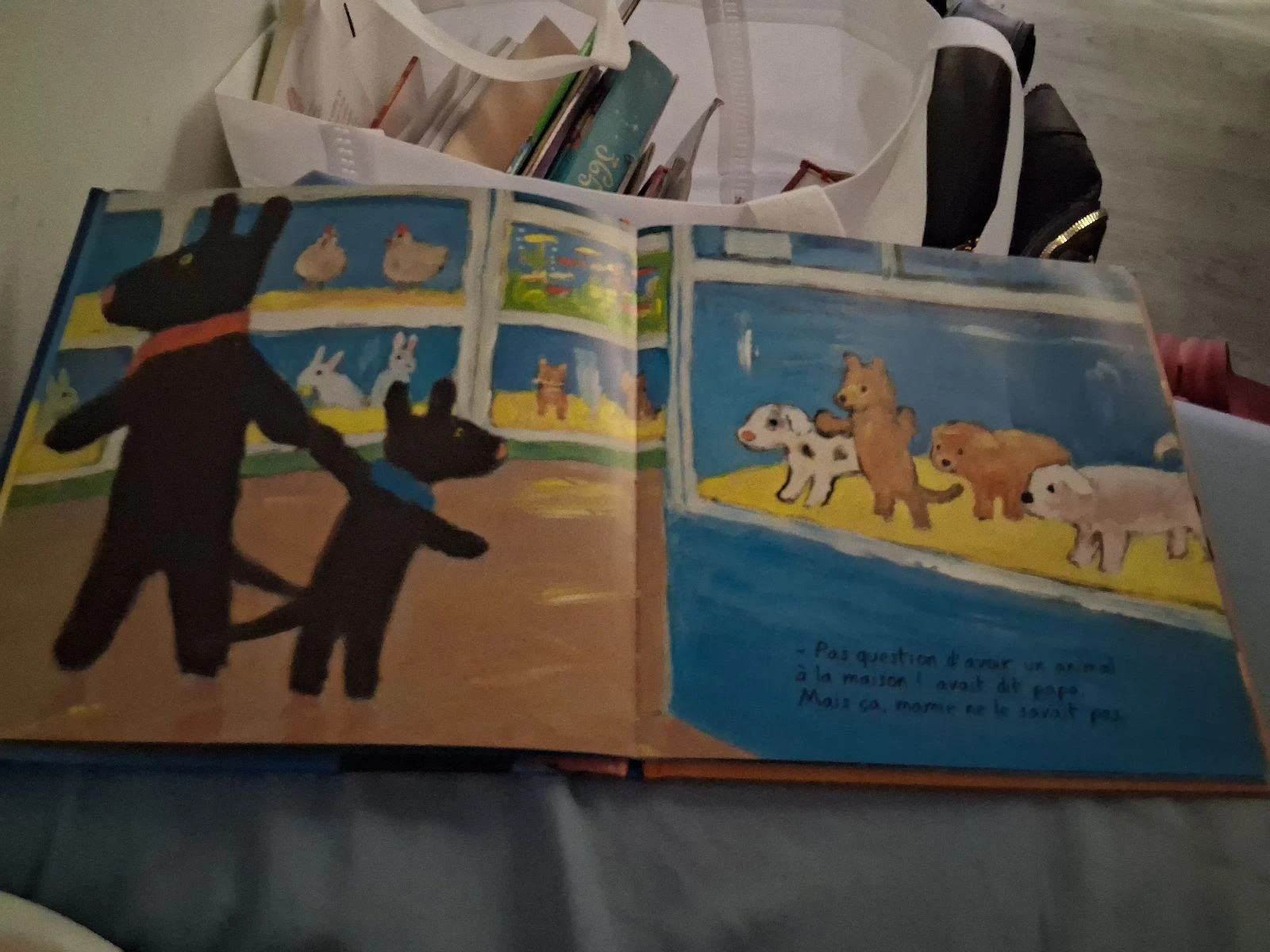 Gaspard quiere un perrito – photo 2